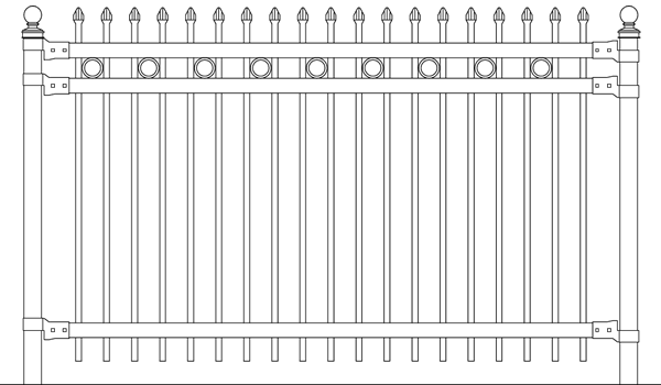 longhorn-6522